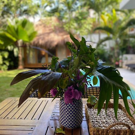 Luxury Private Villas , Private Pool, Private Garden, Jacuzzi, 24Hours Security Tulum Exterior photo