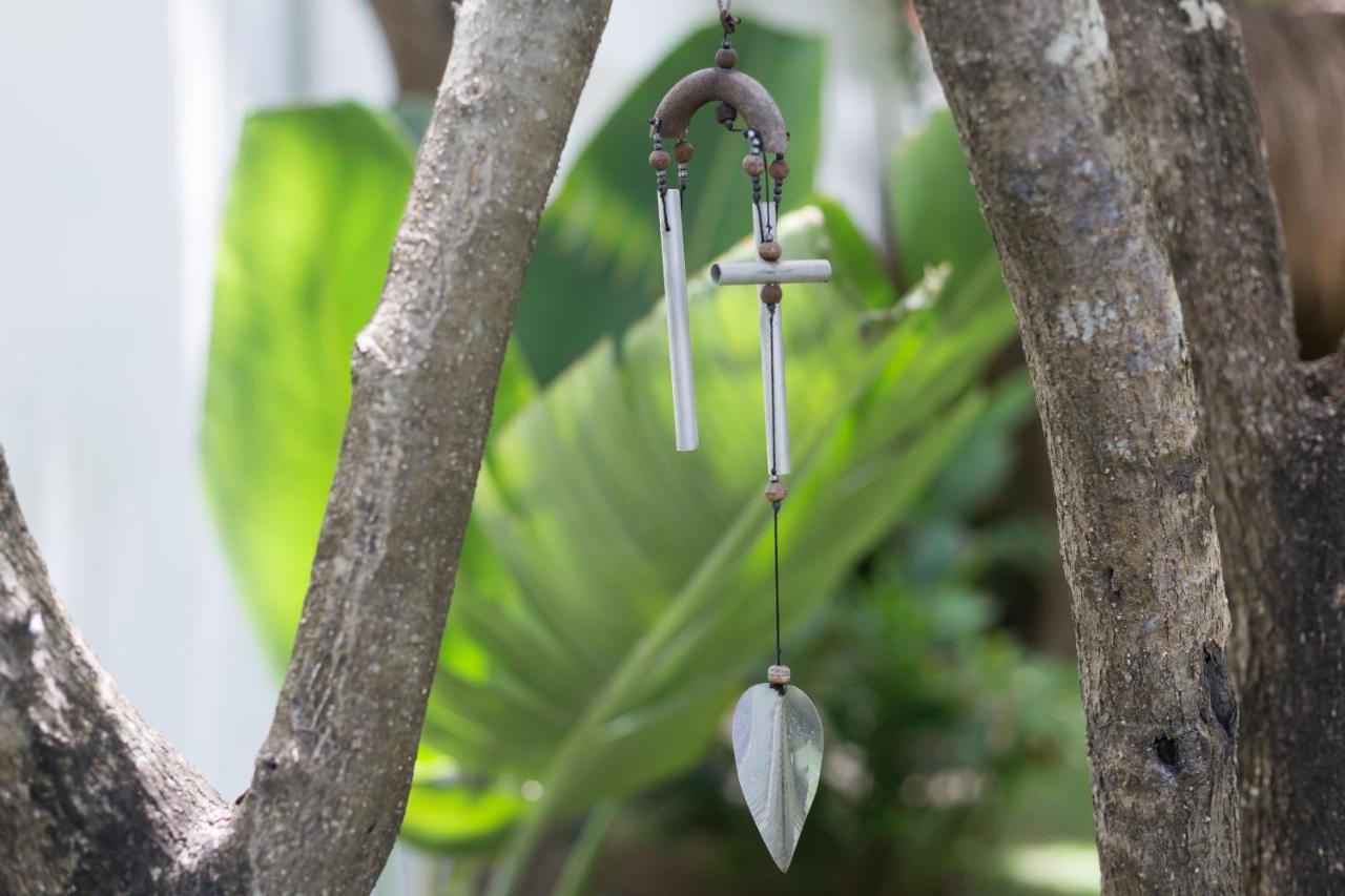Luxury Private Villas , Private Pool, Private Garden, Jacuzzi, 24Hours Security Tulum Exterior photo